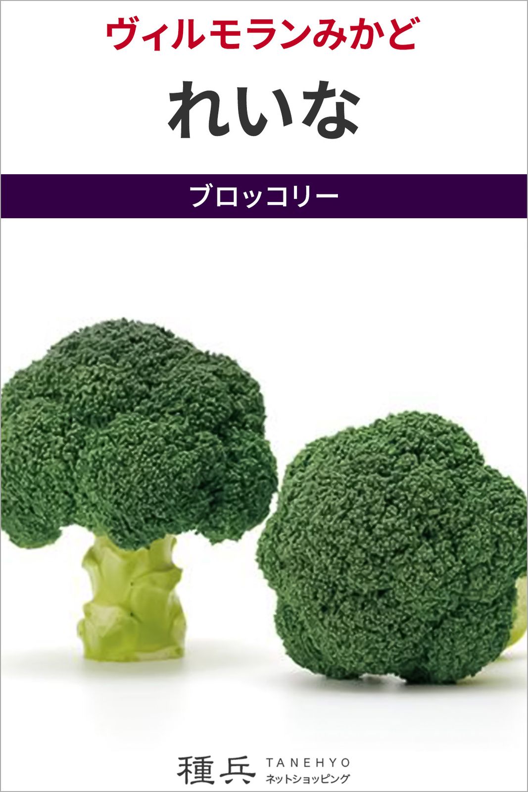 ブロッコリー 種 『れいな』  ヴィルモランみかど