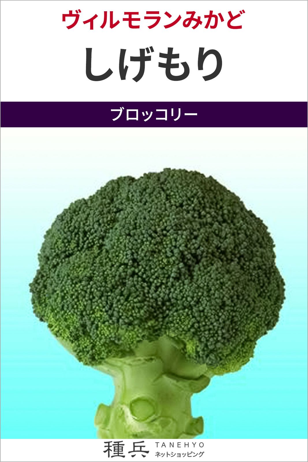 ブロッコリー 種 『しげもり』  ヴィルモランみかど