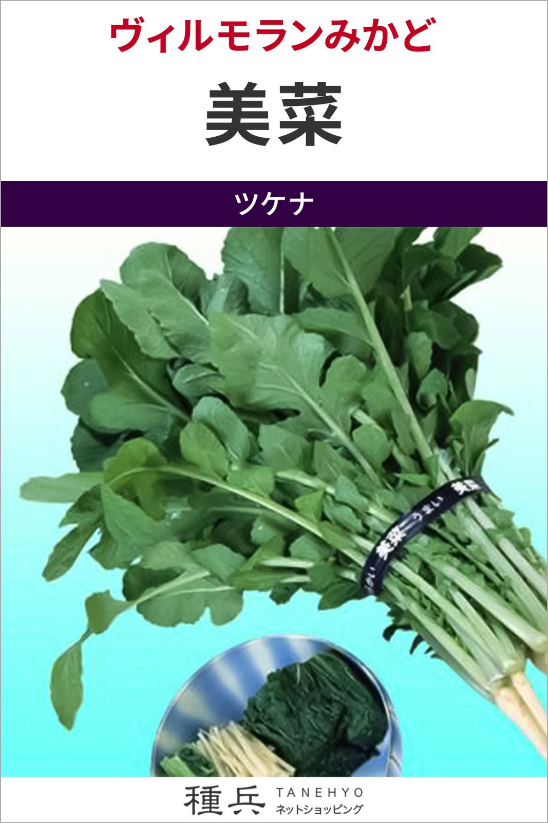 葉ダイコン 種 『美菜』  ヴィルモランみかど