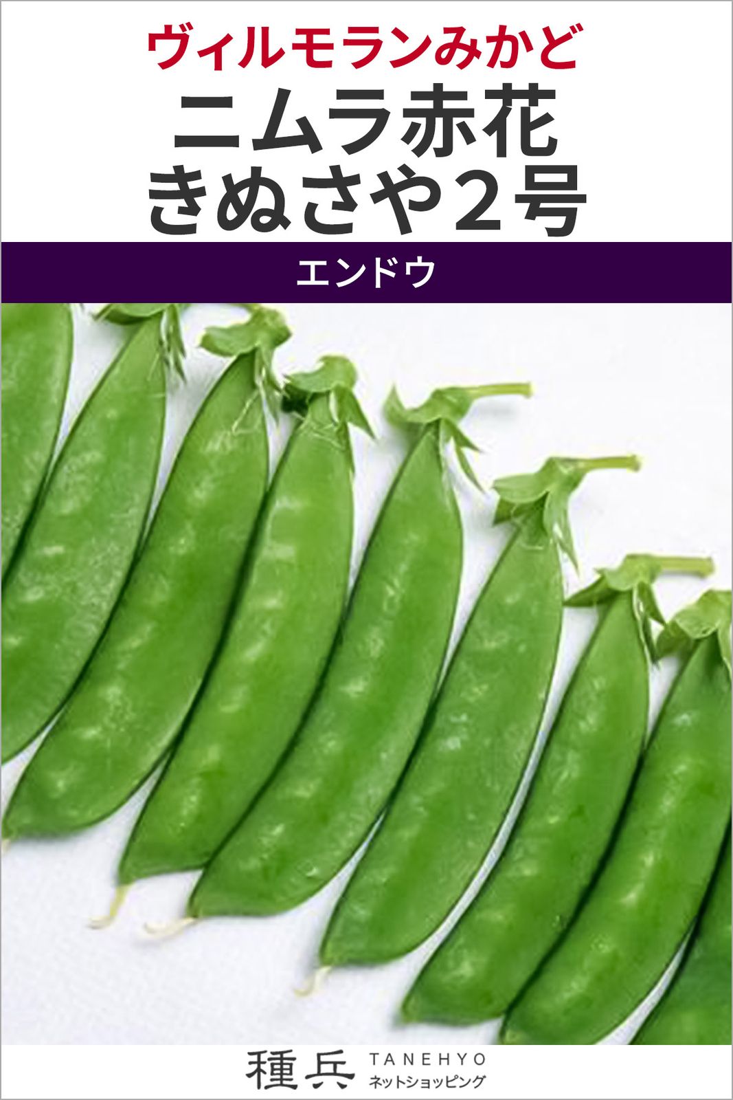 キヌサヤエンドウ 種 『ニムラ赤花きぬさや２号』  ヴィルモランみかど