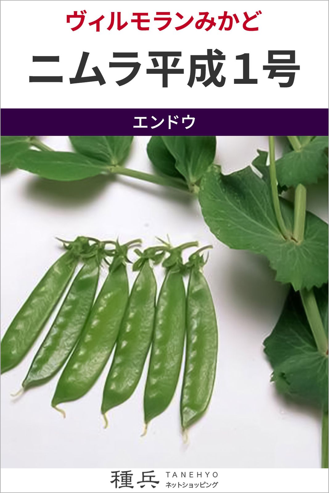 キヌサヤエンドウ 種 『ニムラ平成１号』  ヴィルモランみかど