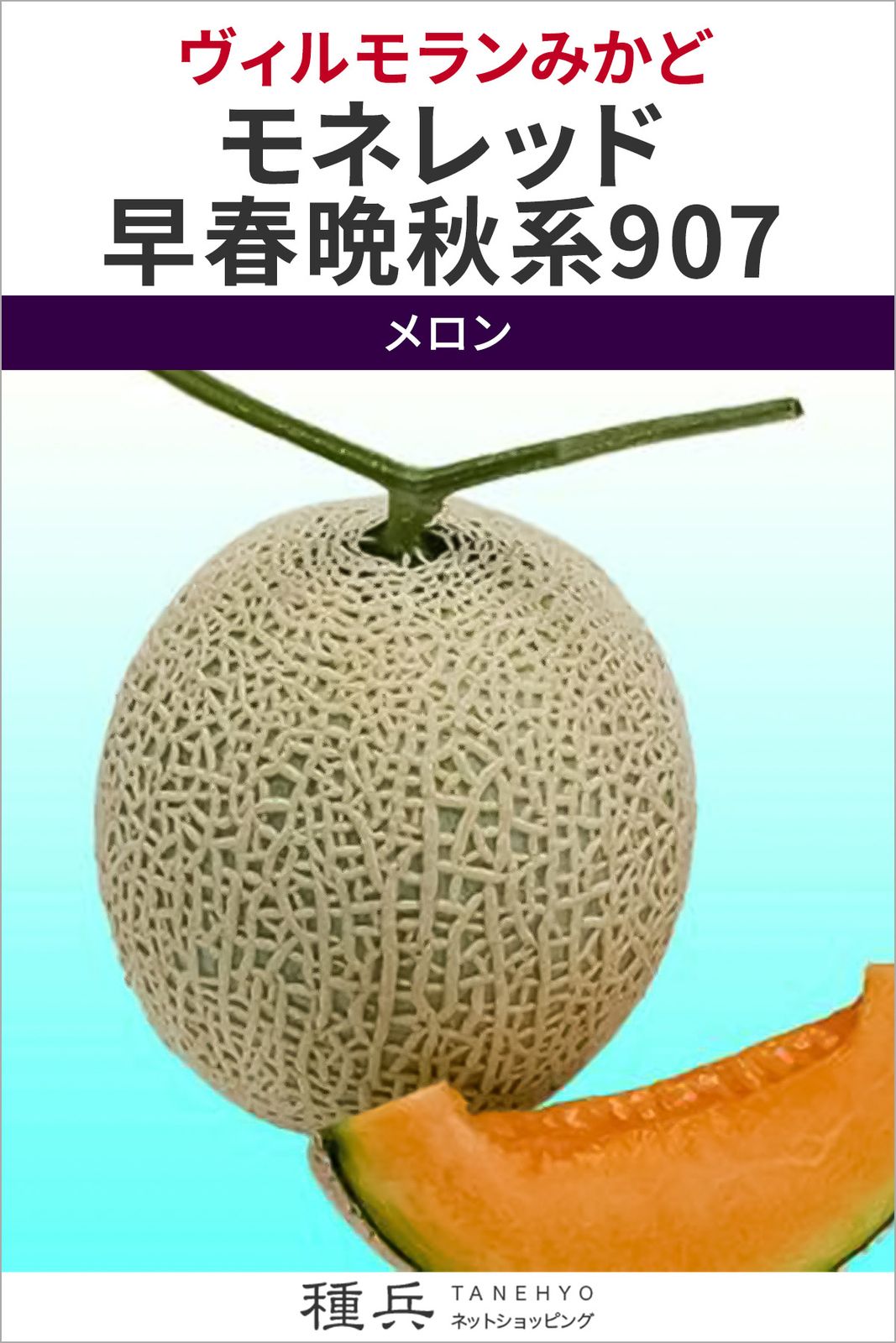 赤肉アールスメロン 種 『モネレッド早春晩秋系907』  ヴィルモランみかど