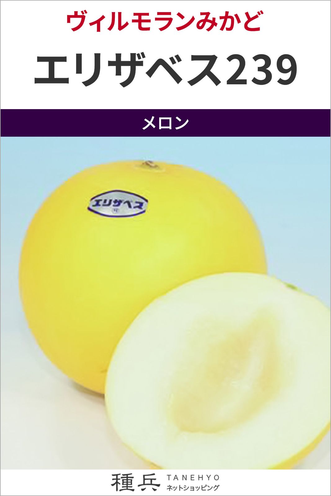 黄皮ノーネットメロン 種 『エリザベス239』  ヴィルモランみかど