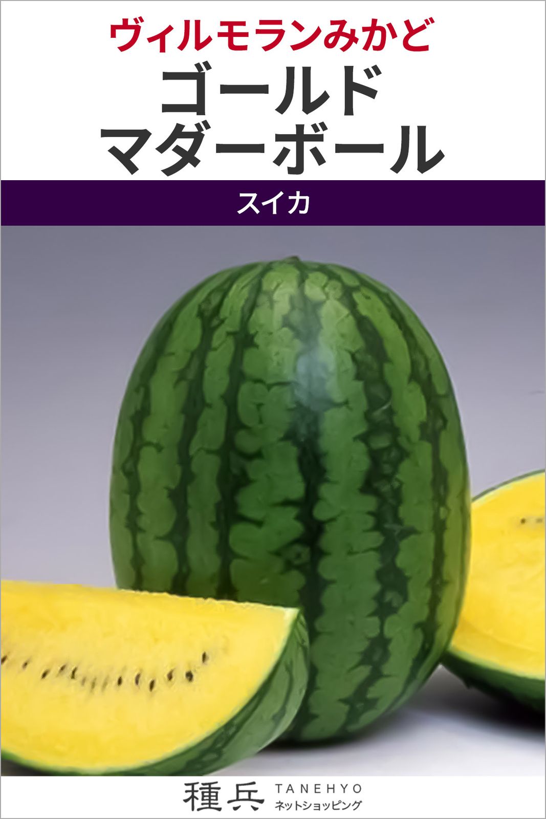 ラグビー型黄肉小玉スイカ 種 『ゴールドマダーボール』  ヴィルモランみかど