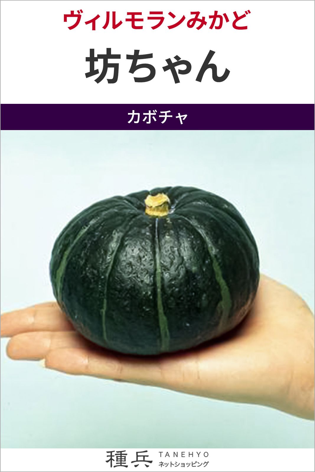 ミニカボチャ 種 『坊ちゃん』  ヴィルモランみかど
