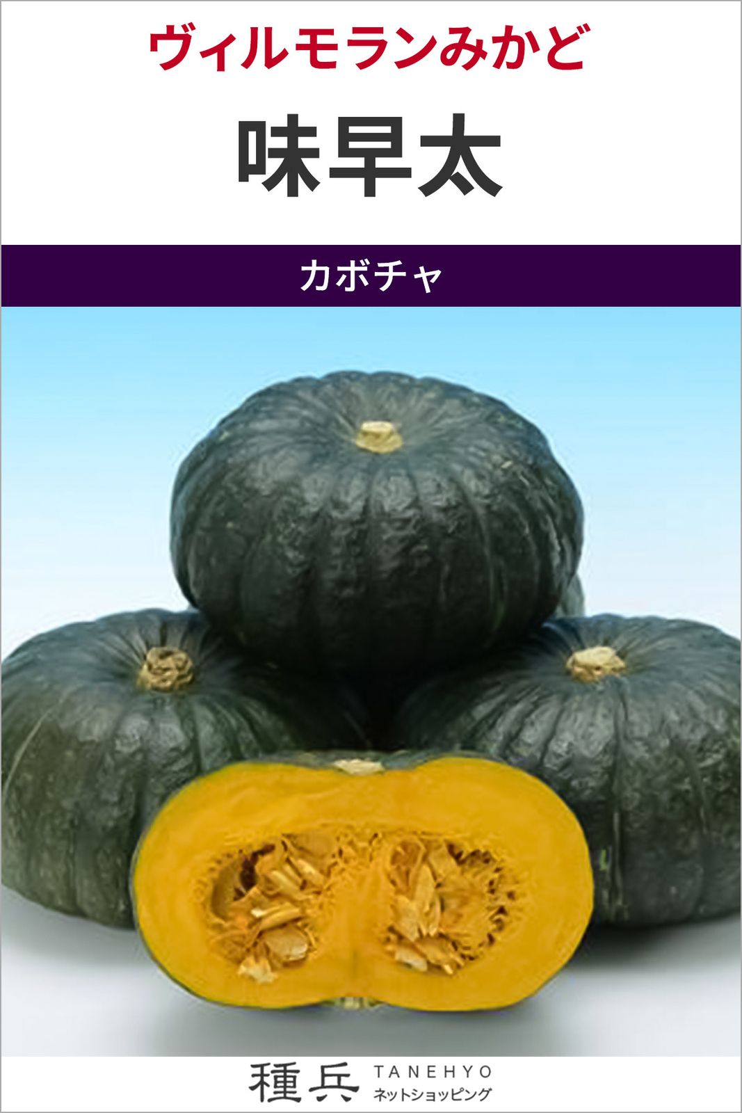 大玉カボチャ 種 『味早太』  ヴィルモランみかど