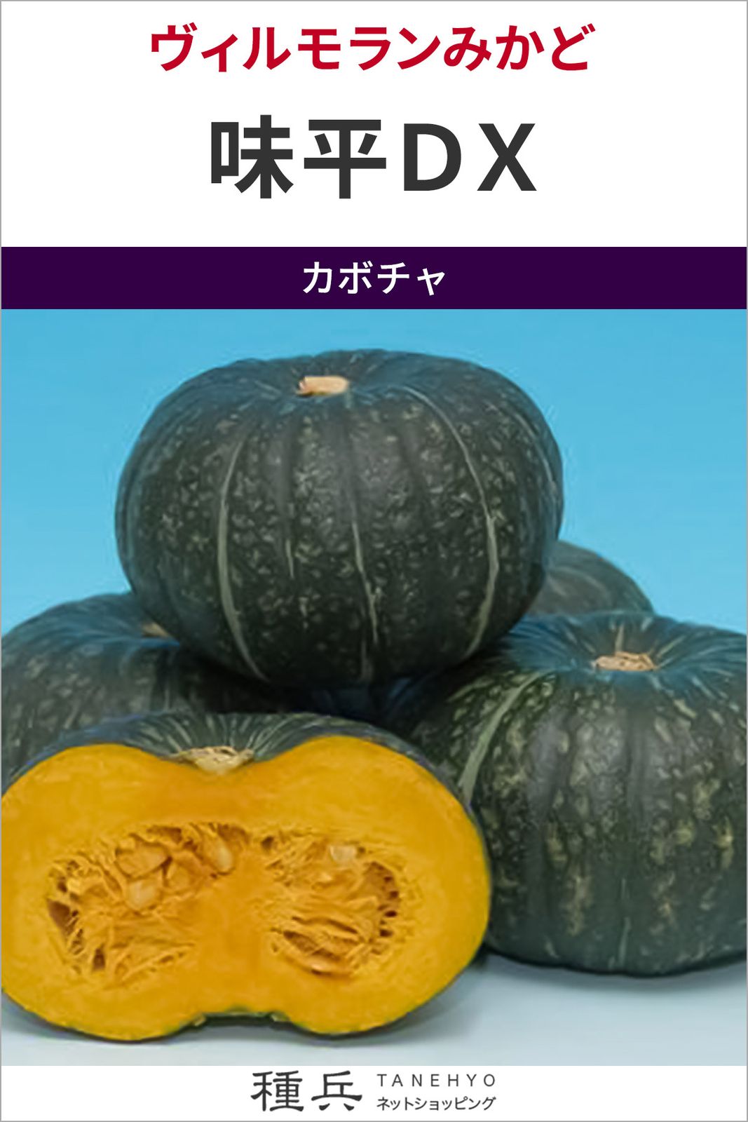 大玉カボチャ 種 『味平ＤＸ』  ヴィルモランみかど