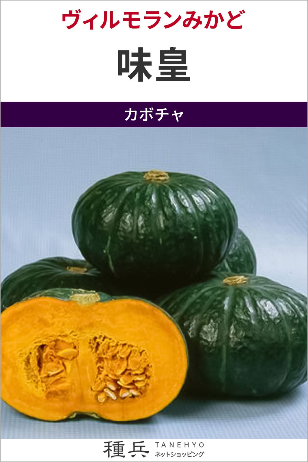 大玉カボチャ 種 『味皇』  ヴィルモランみかど