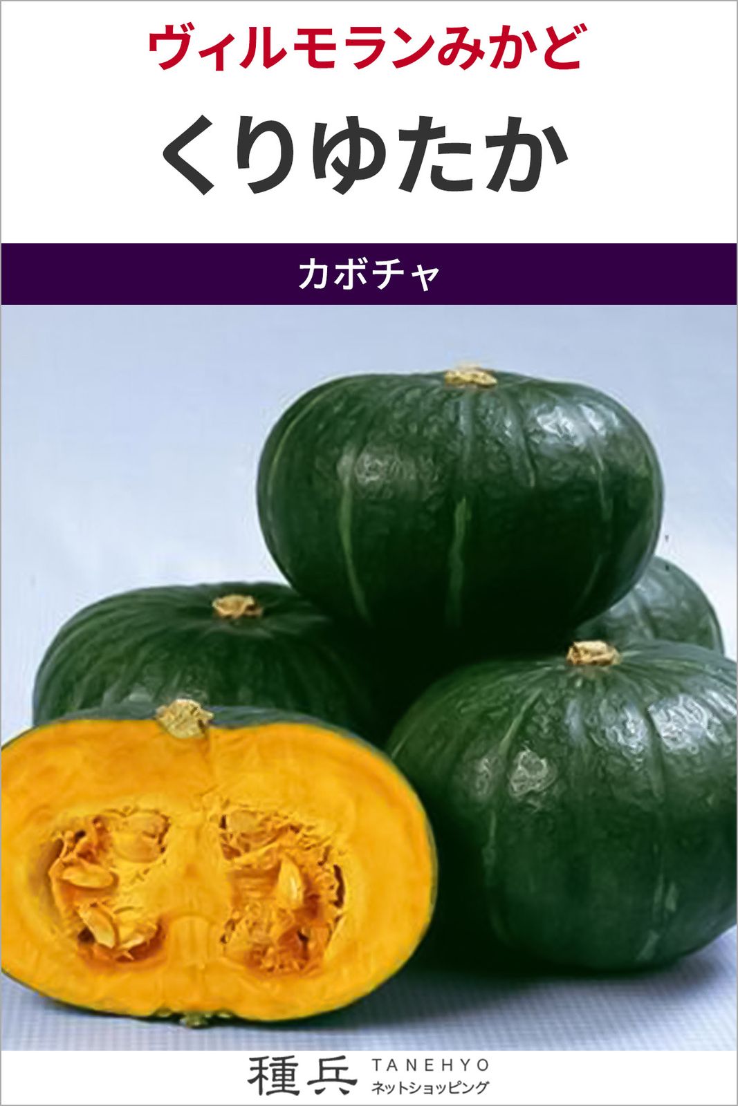 大玉カボチャ 種 『くりゆたか』  ヴィルモランみかど
