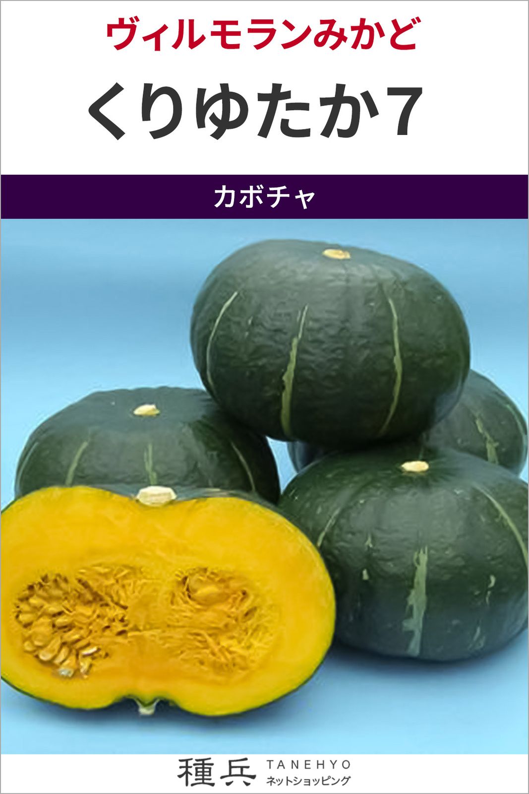 大玉カボチャ 種 『くりゆたか７』  ヴィルモランみかど