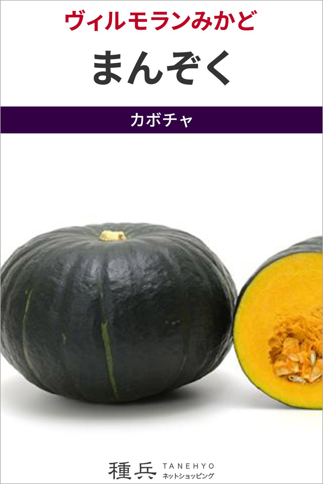 大玉カボチャ 種 『まんぞく』  ヴィルモランみかど