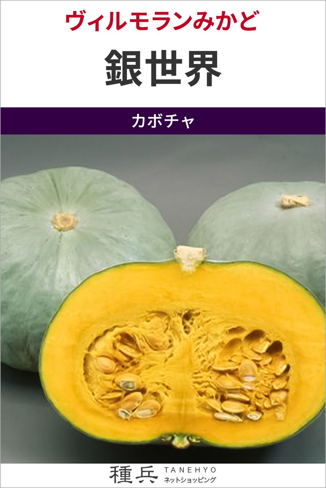 大玉カボチャ 種 『銀世界』  ヴィルモランみかど