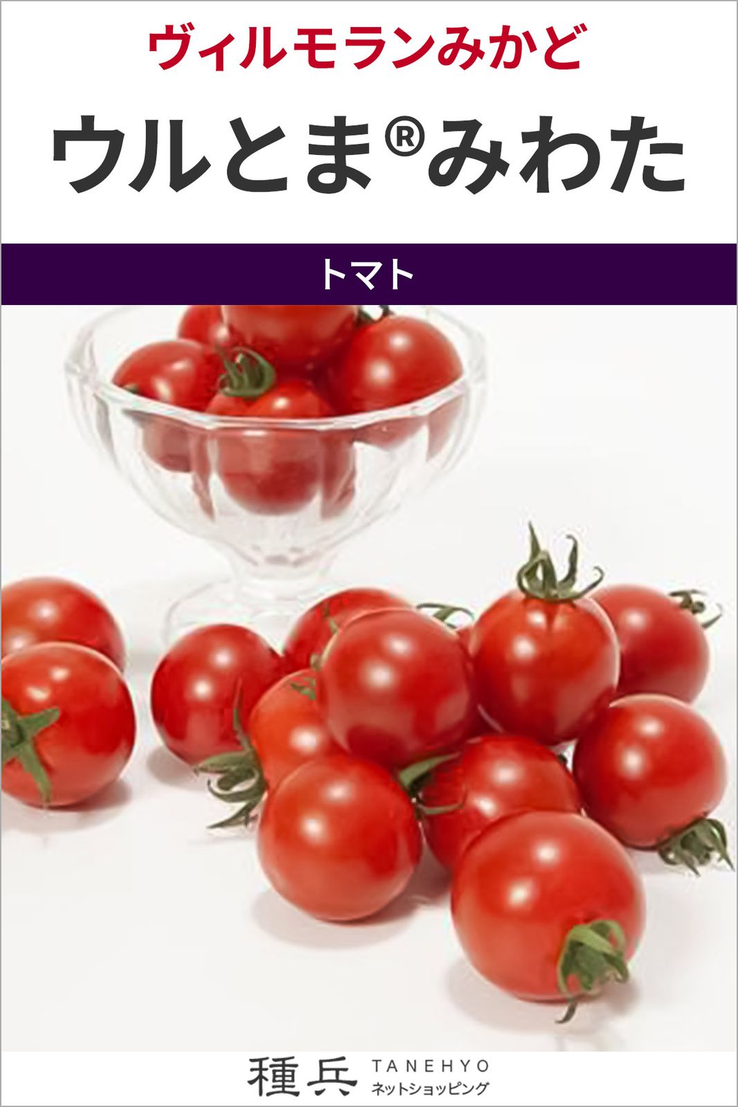 ミニトマト 種 『ウルとま みわた』  ヴィルモランみかど