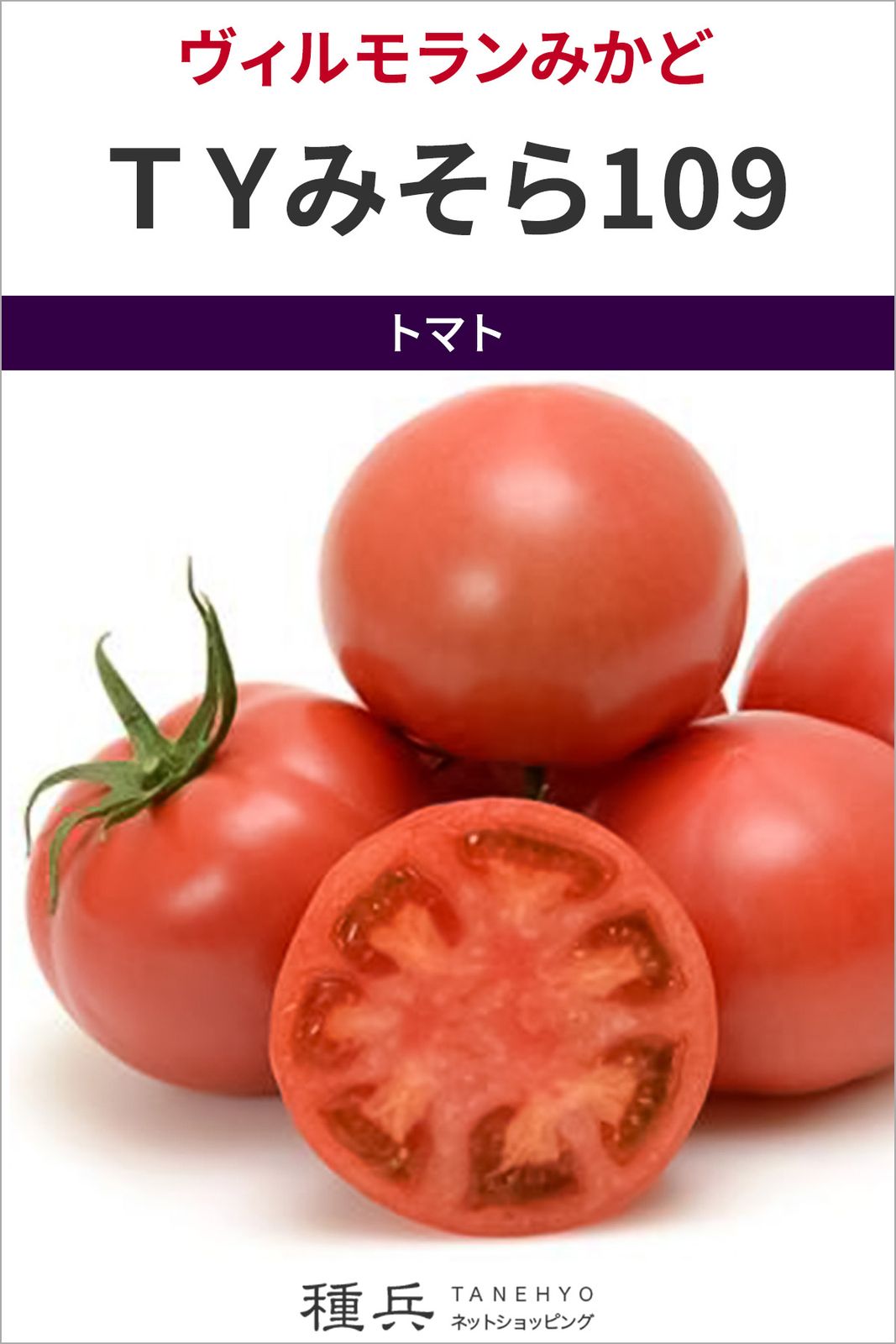 大玉トマト 種 『ＴＹみそら109』  ヴィルモランみかど
