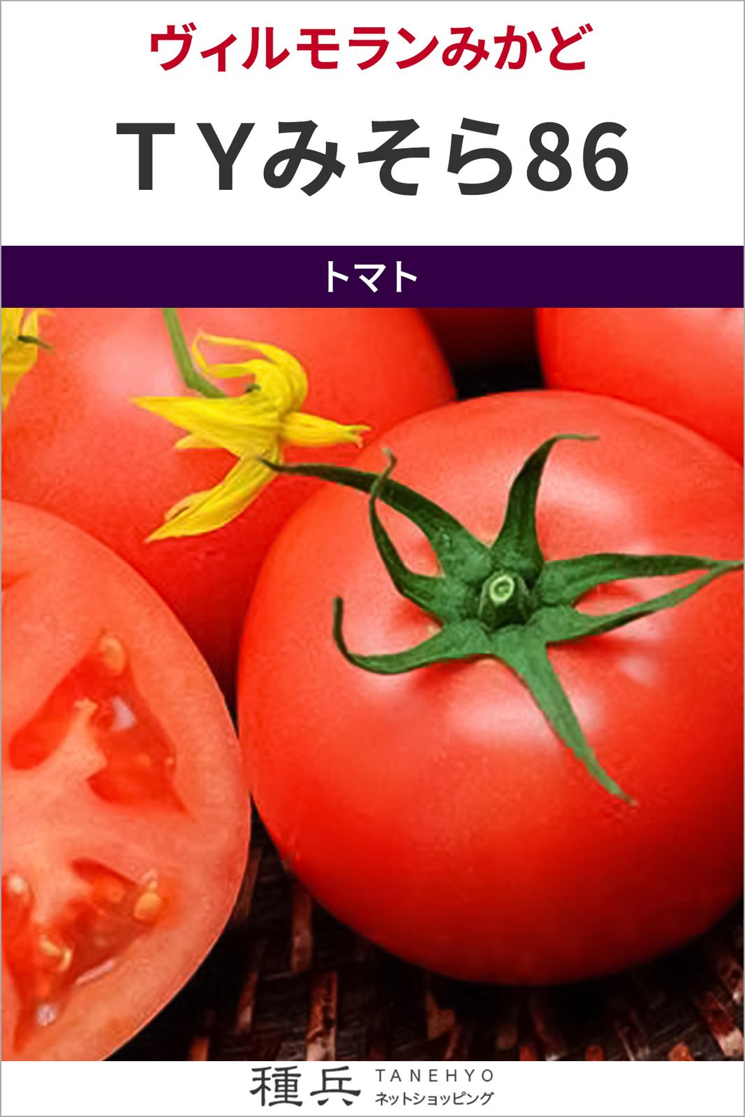 大玉トマト 種 『ＴＹみそら86』  ヴィルモランみかど