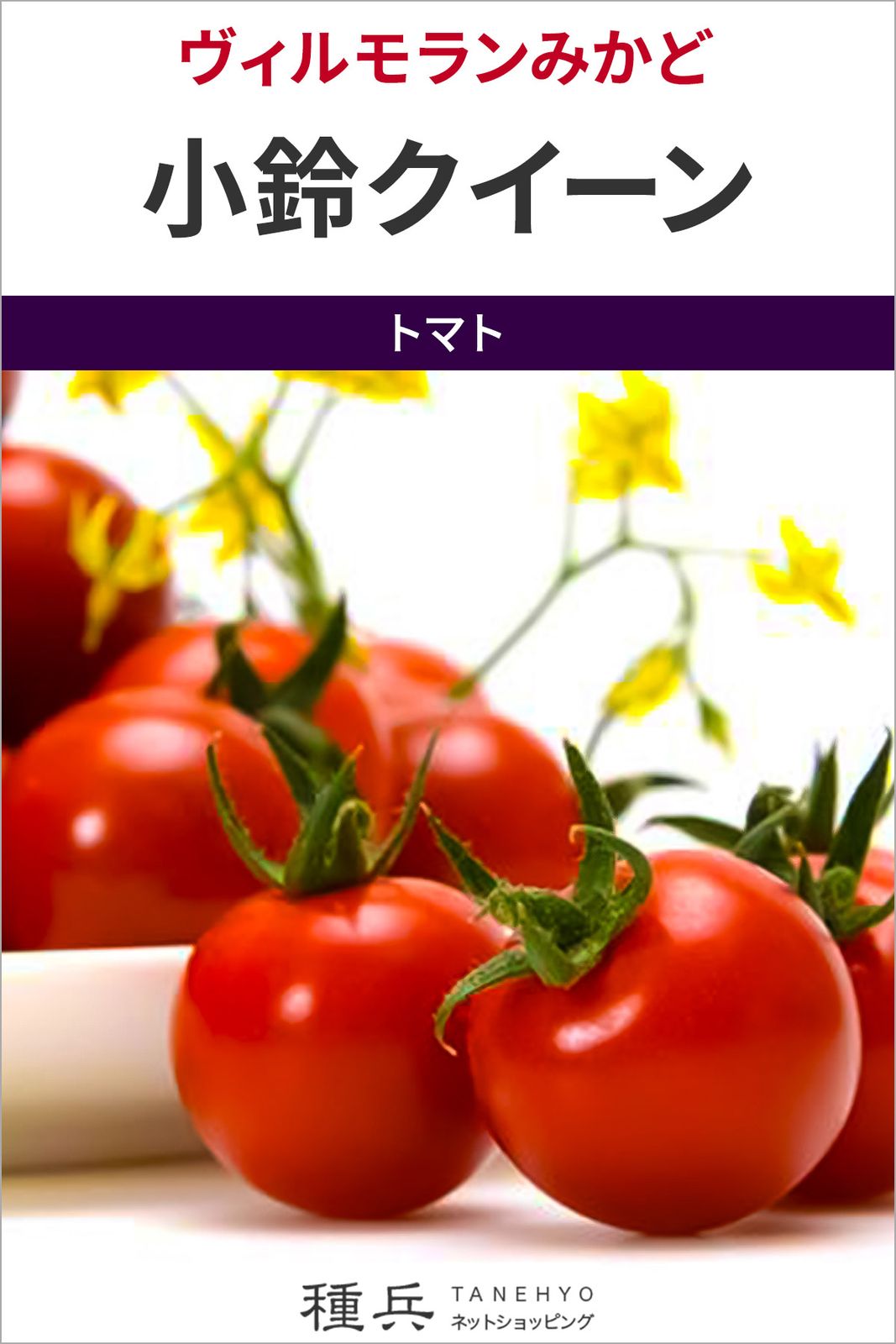 ミニトマト 種 『小鈴クイーン』  ヴィルモランみかど
