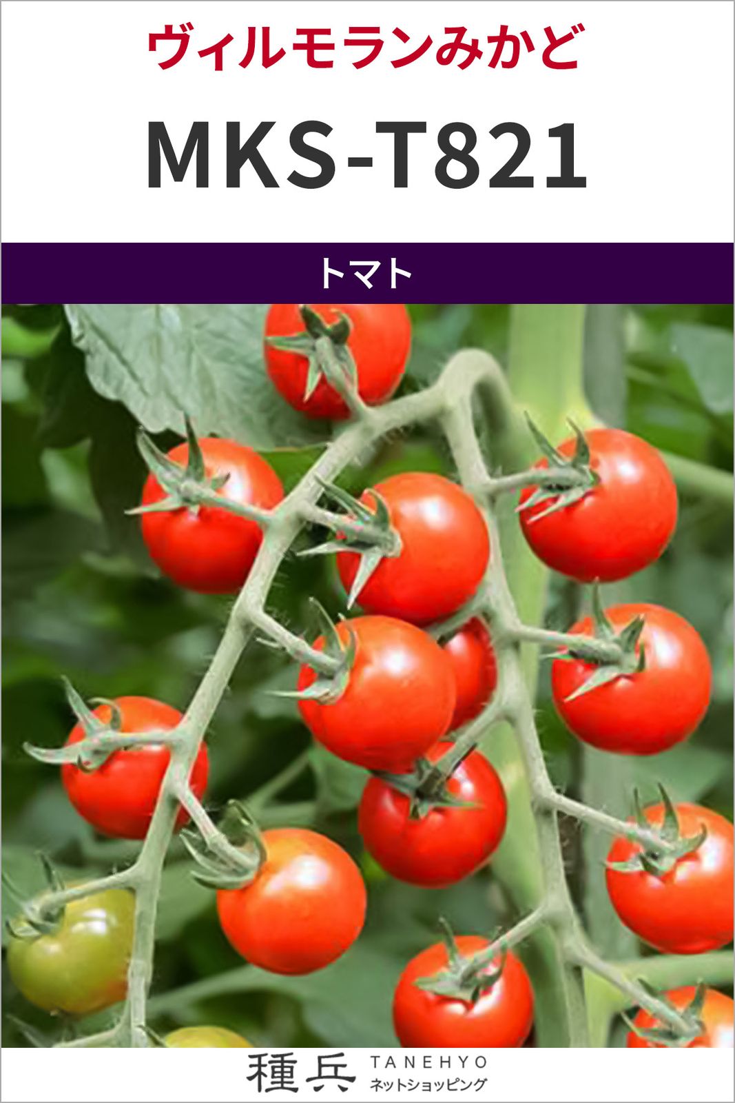 たね,果菜の種,トマト,ミニトマト | 種兵ネットショッピング