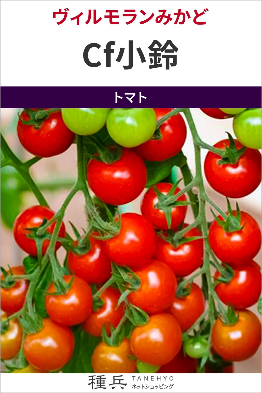 たね,果菜の種,トマト,ミニトマト | 種兵ネットショッピング