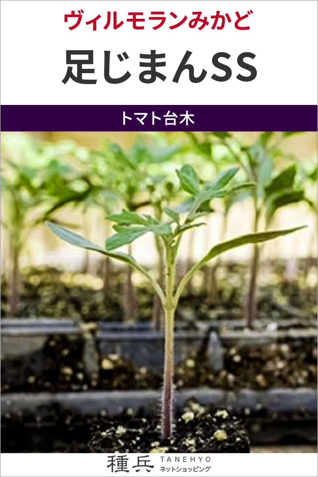 トマト台木 種 『足じまんSS』  ヴィルモランみかど