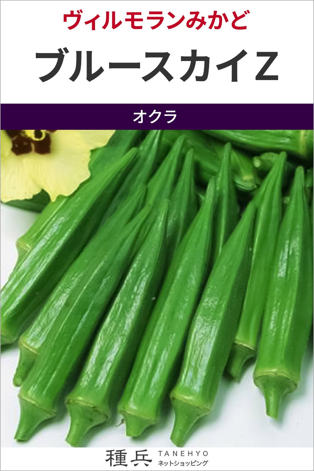 オクラ 種 『ブルースカイＺ』  ヴィルモランみかど