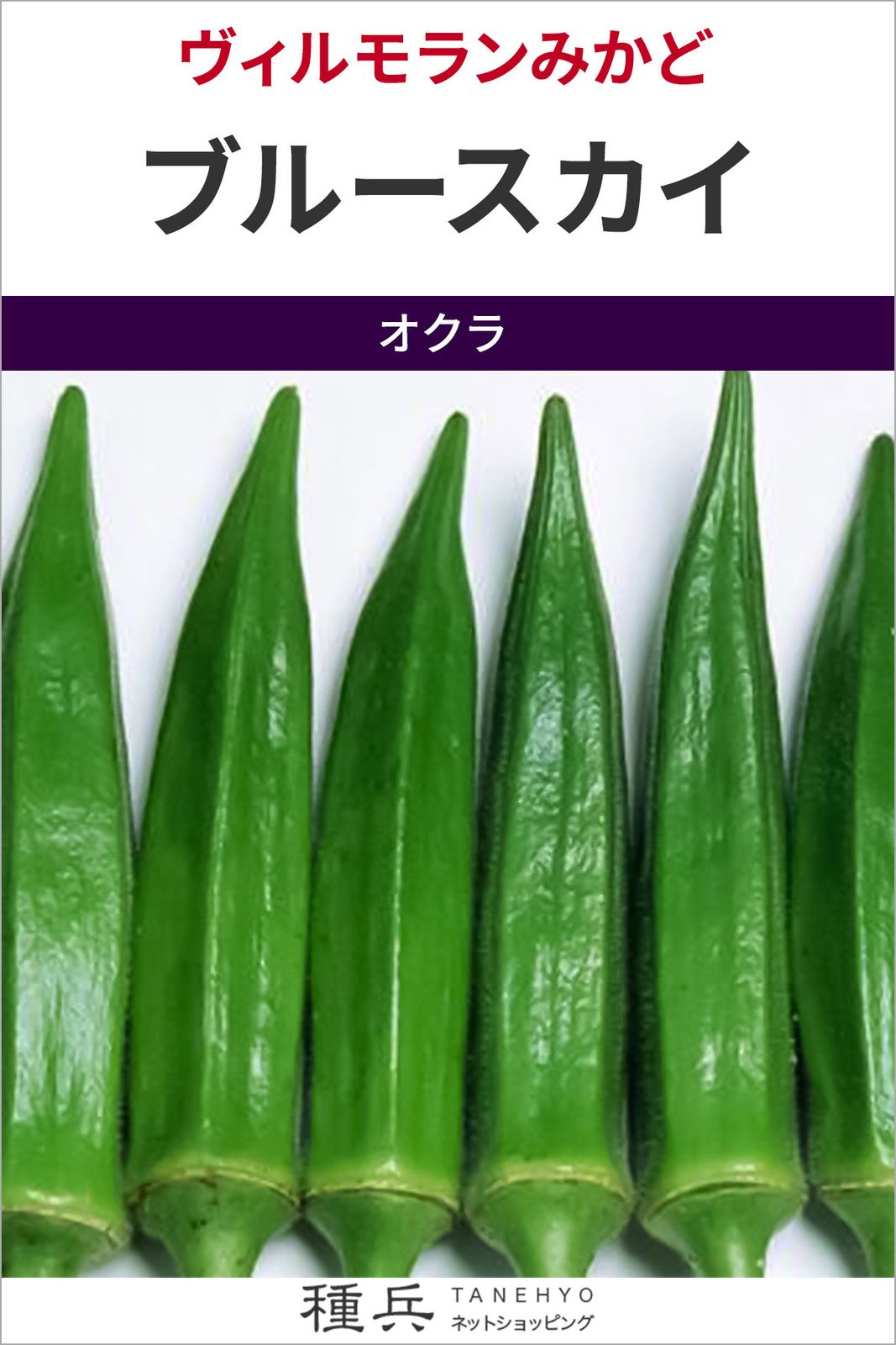 オクラ 種 『ブルースカイ』  ヴィルモランみかど