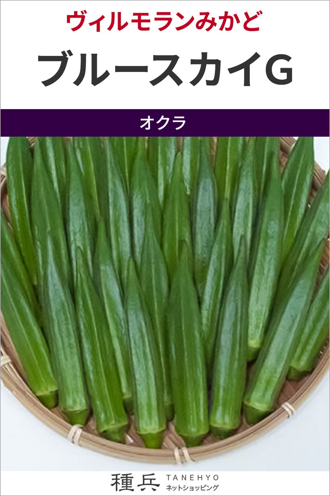 オクラ 種 『ブルースカイＧ』  ヴィルモランみかど