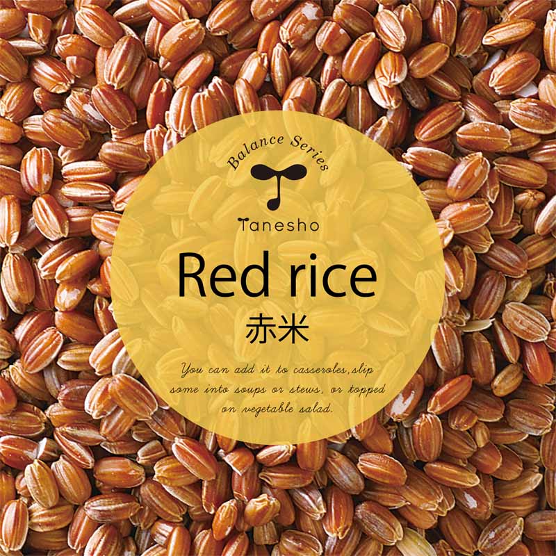 ���ơ����̺����ơ� ��������ߣ�����