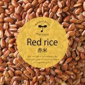 ���ơ����̺����ơ� ��������ߣ�����