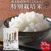 ���ܸ��� ���������Ҥ��� 30kg (5kg��6)