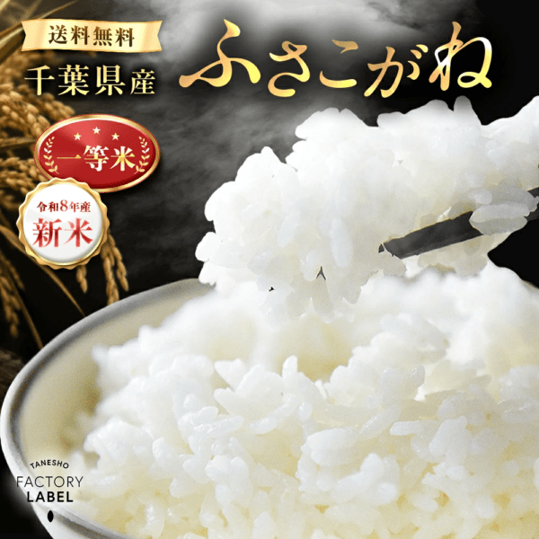 ���ո������դ������� 30kg (5kg��6)