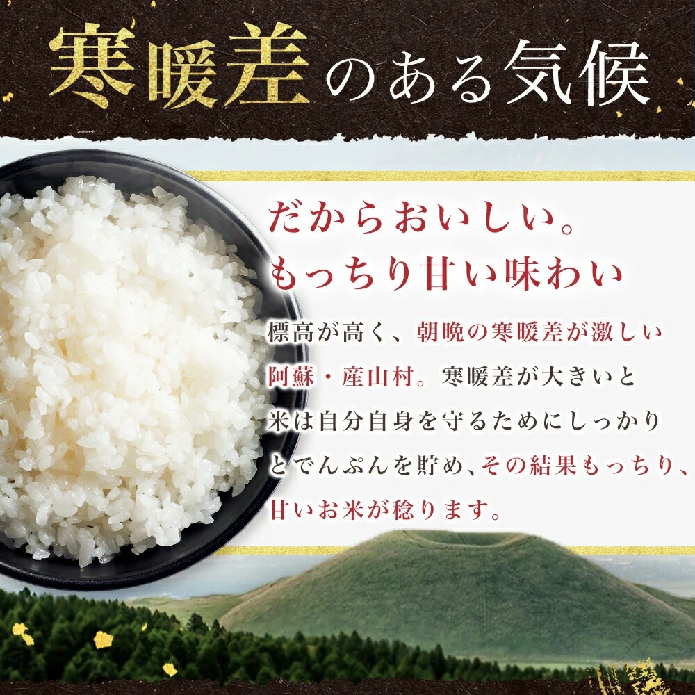 ���ܸ��� ���������Ҥ��� 10kg (5kg��2)