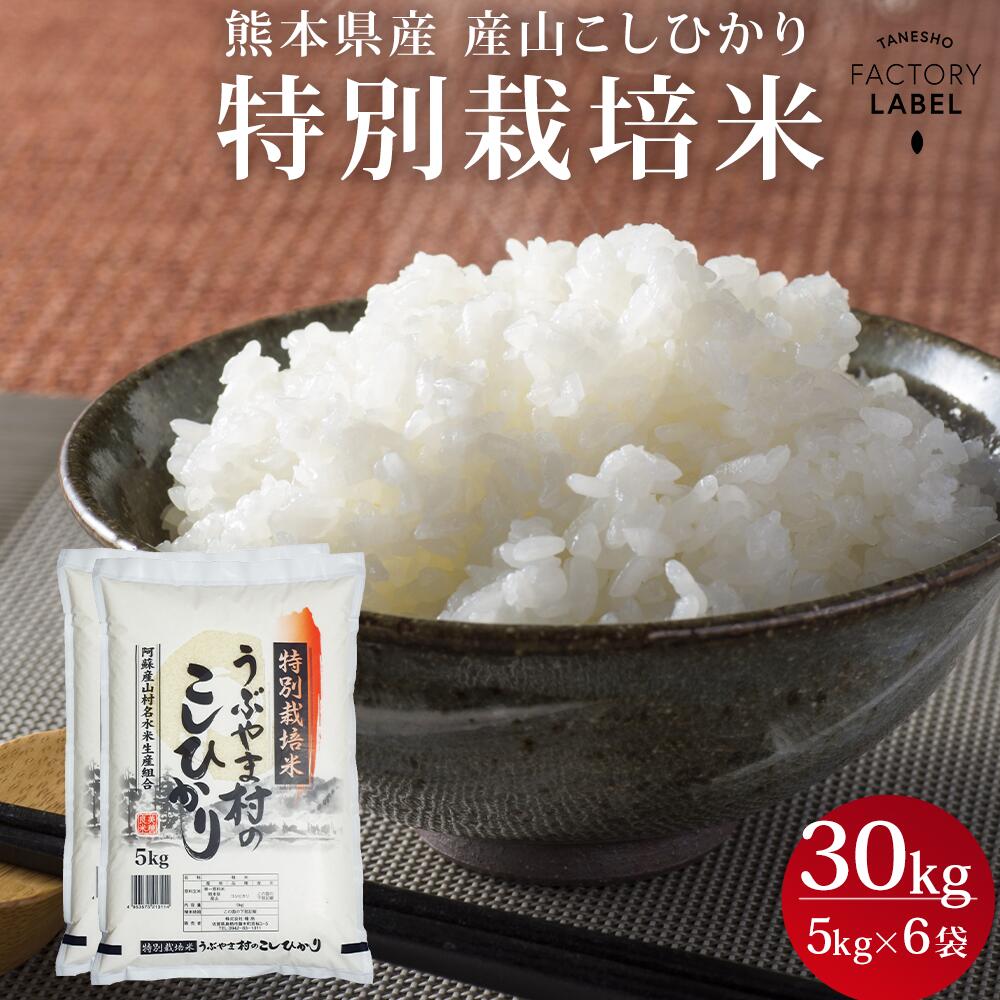 ���ܸ��� ���������Ҥ��� 30kg (5kg��6)