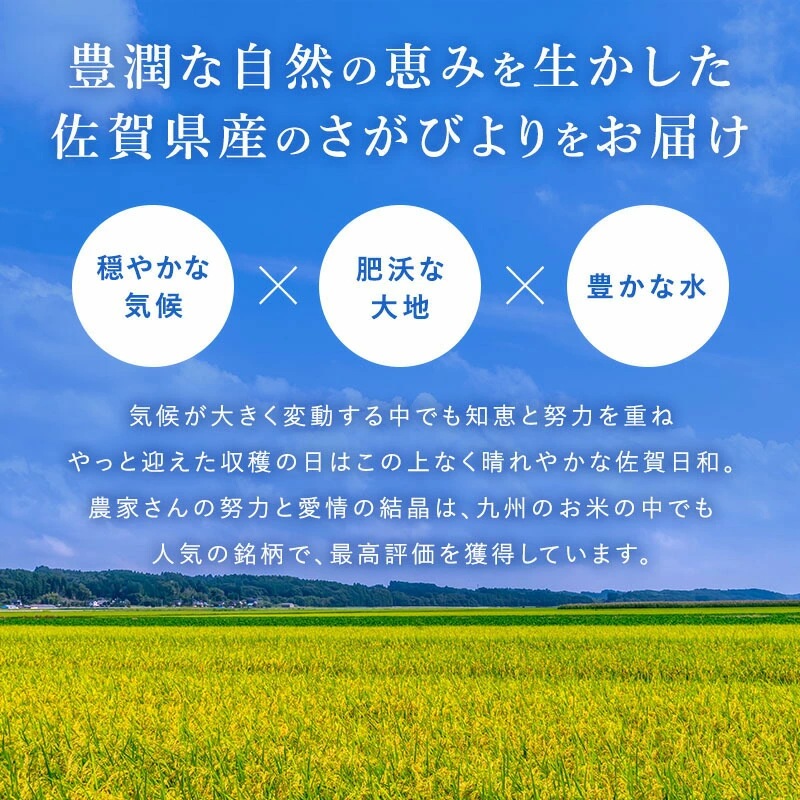 ���츩�� �����Ӥ�� 30kg (5kg��6)