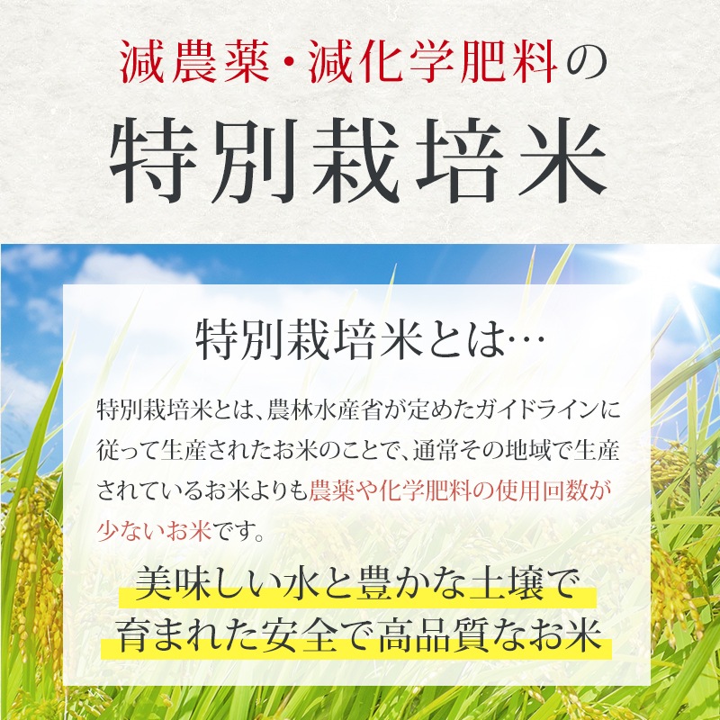 7ǯ Ҥڷܸ̺ۢ ߣޡټ褪ϤŹвٻ2025ǯ10ܡۤλξ头ʸޤ褦ꤤޤ