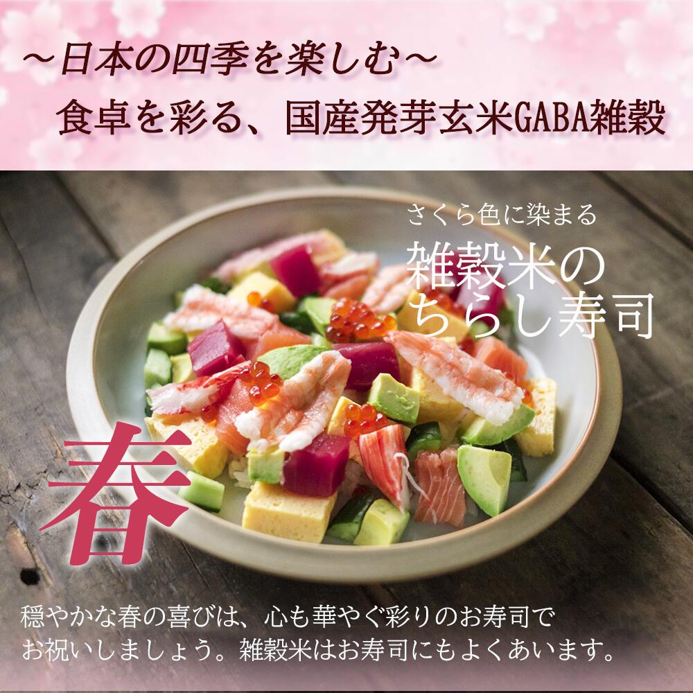 ��ȯ�긼��GABA���� 900g
