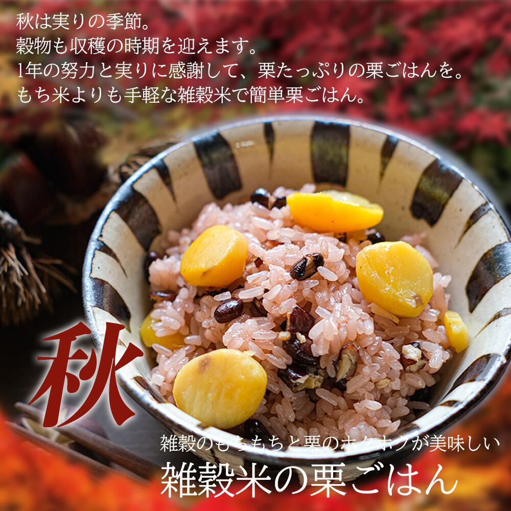 ��ȯ�긼��GABA���� 900g
