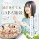 ��ȯ�긼��GABA���� 900g 3��