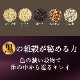 �ӥ塼�ƥ����������Ƥι� 450g 2��