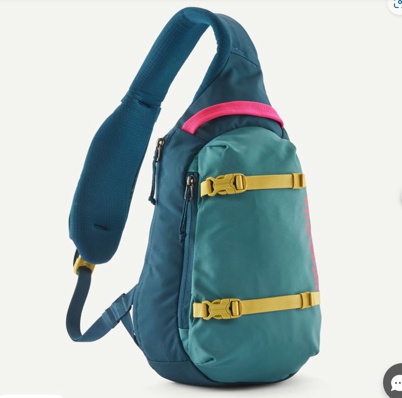 美品　希少カラー　パタゴニア PATAGONIA アトム・スリング 8L 48262.jpg