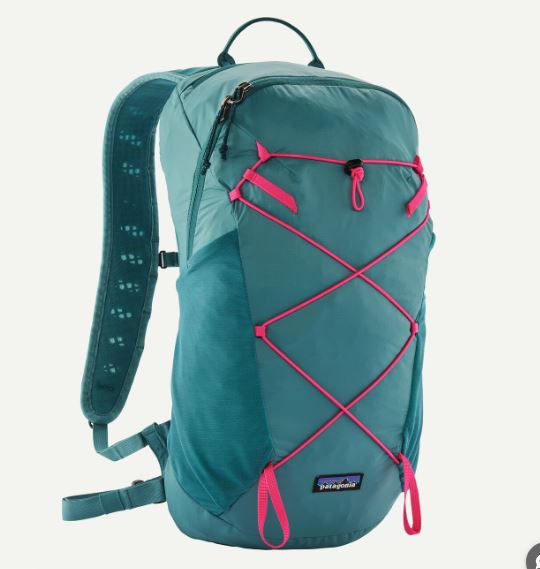 patagonia★リュック★ブルー　波模様　パタゴニア patagonia☆リュック☆ブルー 波模様 パタゴニア patagonia