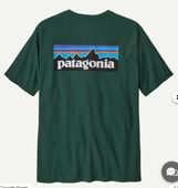 �ڥѥ����˥��ۥ�󥺡�P-6�������쥹�ݥ󥷥ӥ�ƥ�����Cascade Green��FA25�������谷Ź