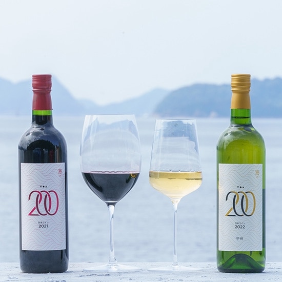 【フェア】日本ワイン紅白2本セット