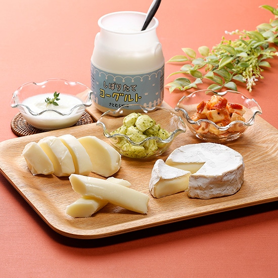 ナチュラルチーズ＆ヨーグルトセット