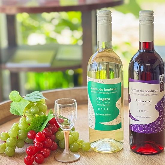 【フェア】ベリービーズワイナリー 塩尻ワイン2本セット