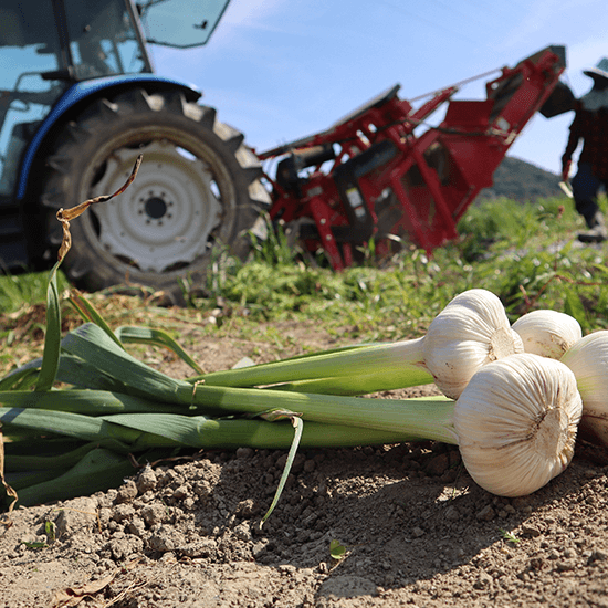 たまごかけしょうゆ三種食べ比べセット