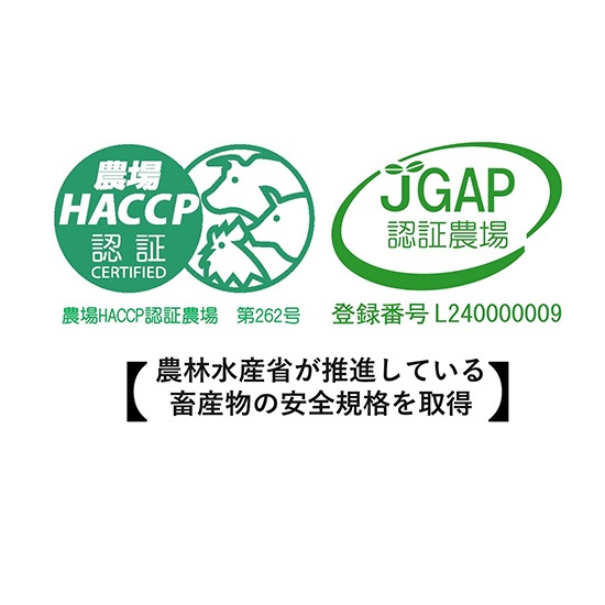 松阪牛ロースカレー【中辛】1個