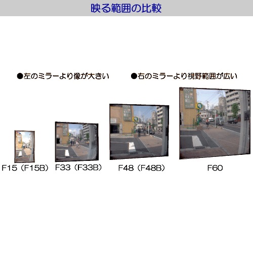 �ƣƥߥ顼�ֽи� F15B�ʥӥ��ߤ᥿���ס�