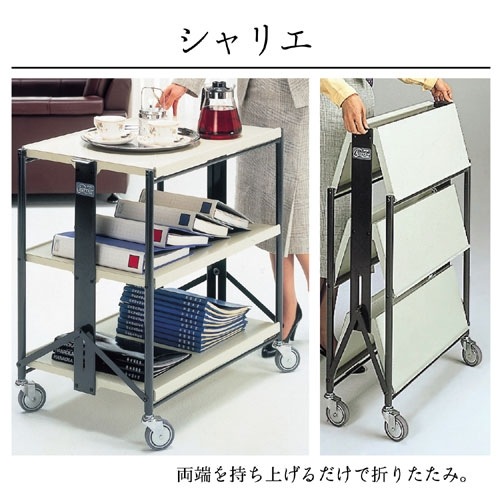 ����ꥨ�ե�å���(�ޤꤿ���ߥ若��)��2�ʥơ��֥롡F-T2