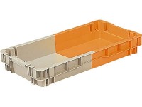 (󥳡)SNƥʡ(ȴͭ)N#21