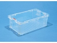 (󥳡)SNƥʡ(ؼԡͭ)B#50